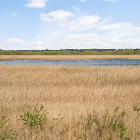 Hermandine - 700m From The Sea In Western Jutland By Interhome *