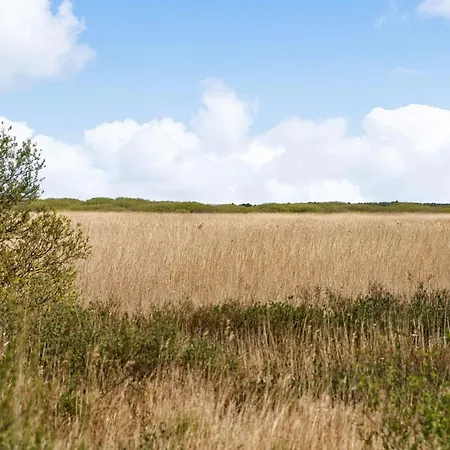 Hermandine - 700m From The Sea In Western Jutland By Interhome Holiday home *